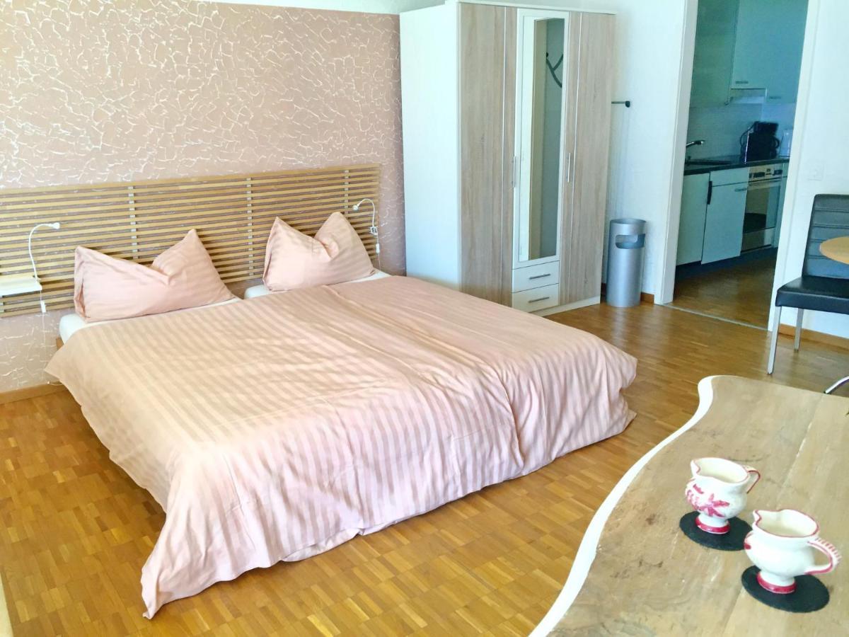 Apartment Double Room Classic-8 By Interhome アスコナ エクステリア 写真